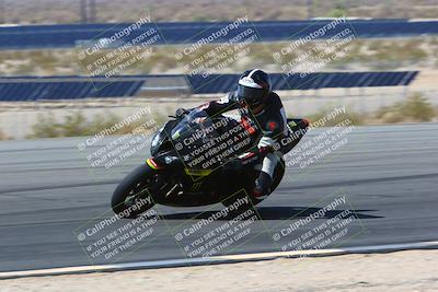 media/May-14-2022-SoCal Trackdays (Sat) [[7b6169074d]]/Turn 11 Inside Pans (935am)/